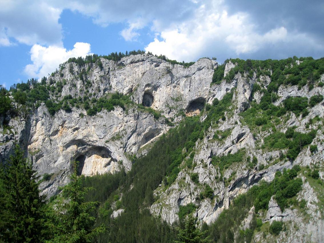 Къща Край Реката - Триград Esterno foto