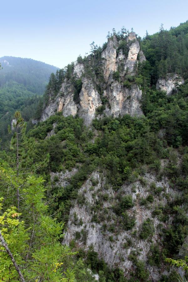 Къща Край Реката - Триград Esterno foto